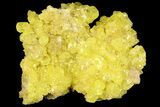 Sulfur Crystals on Matrix - Bolivia #66293-2